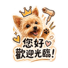 老闆娘上班啦2