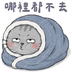 我貓啦！生活實用篇