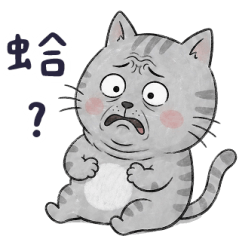 就是貓：蛤？