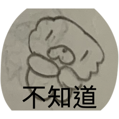 小比熊犬2