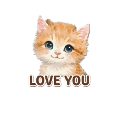 mocomoco cat 1