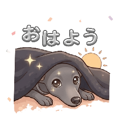 R Italian Greyhound 2