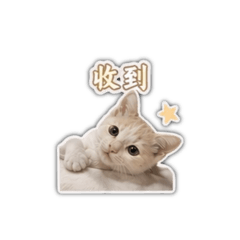 哆阿比