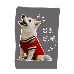 我家阿Q