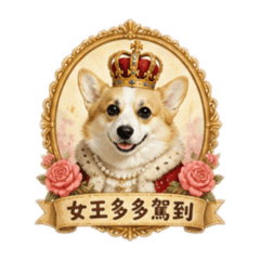 女王多多