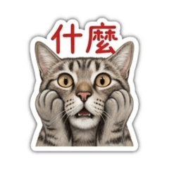 壹麵噗 生活用語