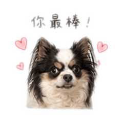 劉天天 3.2