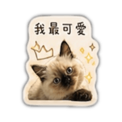 我曾有錢2