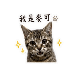 JUNE_本喵是麥可