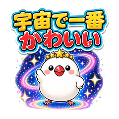 宇宙スケールのブンチョウ