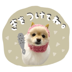 《 ルルのスタンプ◎ 》