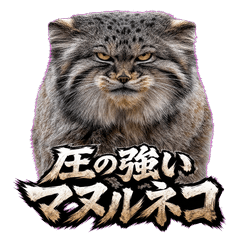 Overwhelming Manul Cat Stickers