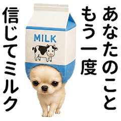 Chihuahua Puns3