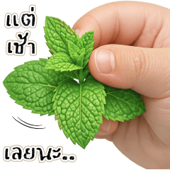 แ ต่ เ ช้ า เ ล ย น ะ ((+_+))