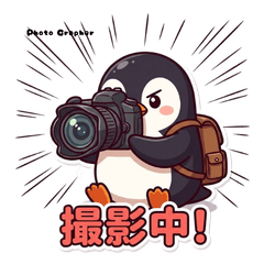 Pen-chan Photographer: A Working Day2