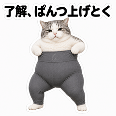 Yoga Pants Cat