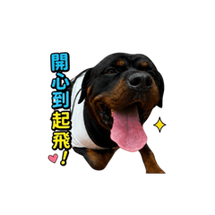 威哥威哥