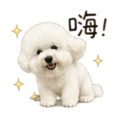 比熊妹妹～艾莉兒7
