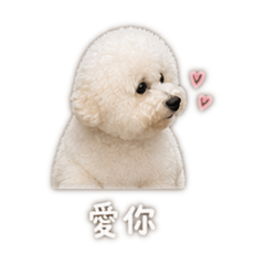 雞腳妞