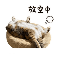 Bibo日常生存貼圖