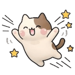 <可愛小貓朋友圈>太好了♡♡♡～