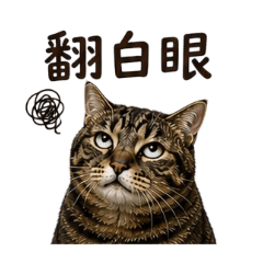 臭咪替我說