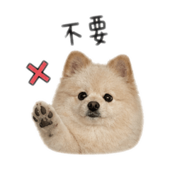 嚕嚕豬.