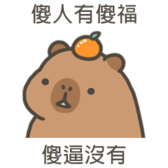 卡比巴拉肥水豚傻逼沒有