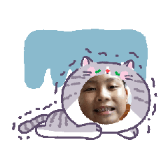 哈雷動動腦