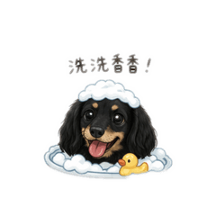 歐嚕嚕趴兔