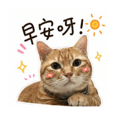 我叫油條