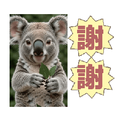 謝謝AI影片1150604