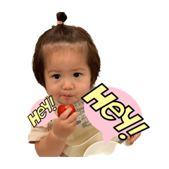cocco_2026.6