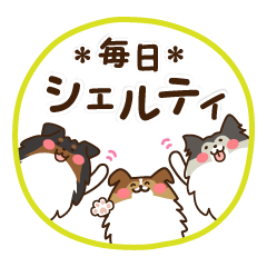 Daily Sheltie Sticker