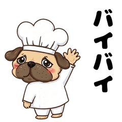 Pug Chef from a Dream
