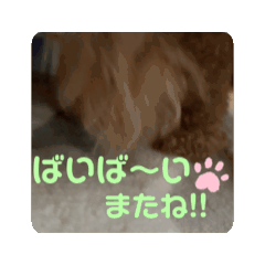 ange_20260606165845