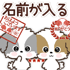 名前が入る★愛犬♡シーズー【ご挨拶】