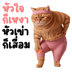 Big Meaw Som Tight Fit