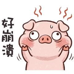 pig pig cute8