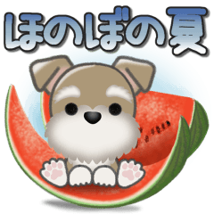 * Heartwarming summer *