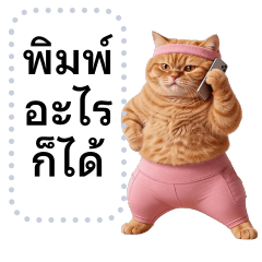 ข้อความตามใจ แมวส้มส้ม ❤️ รัดติ้ว