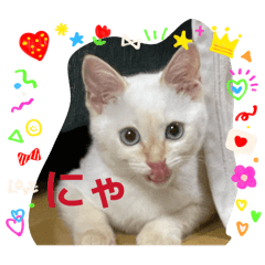 fukusuke_20260519235830