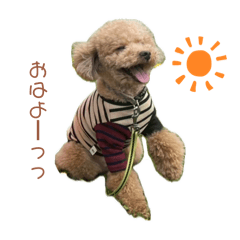 yuzu_20260519221710