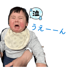 miki_20260520113135
