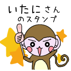 Monkey's surnames sticker Itani