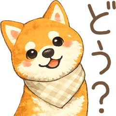 fluffy shiba25