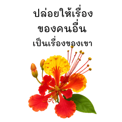 Flowers and kind words.