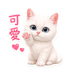 kelly_20260531125304