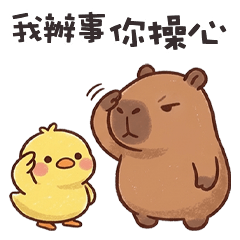cute tiny capybara5L