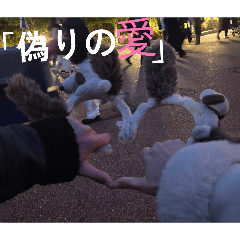 yume_20260520225654